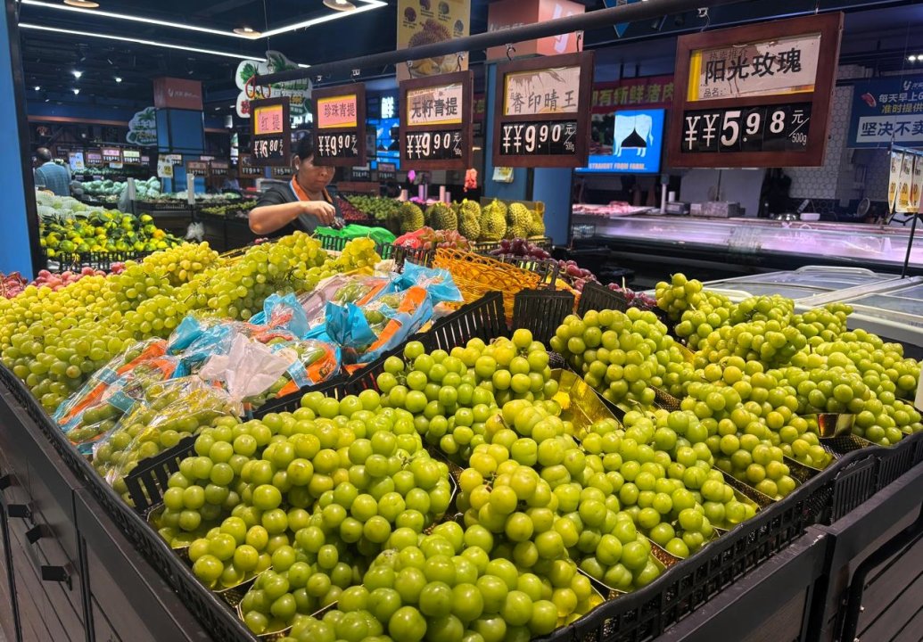 /productores-de-uva-de-mesa-de-atacama-concretan-mision-comercial-a-china-y