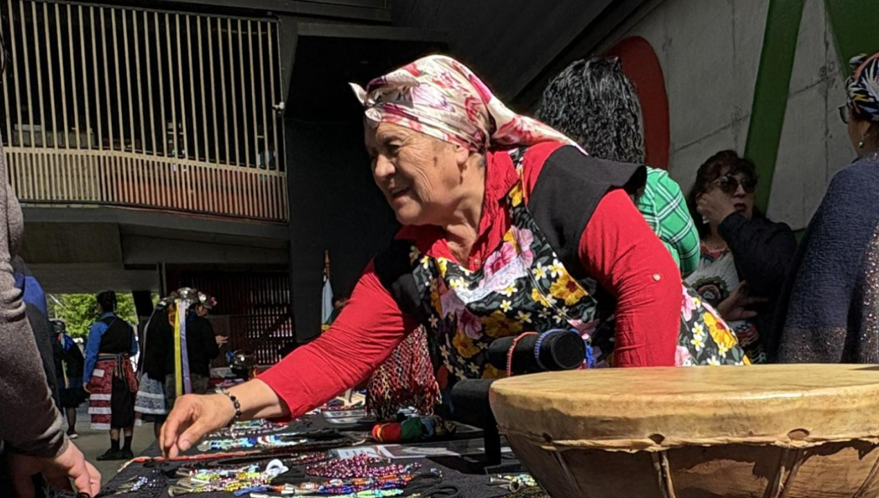 /finaliza-el-taller-de-llankatu-lavkenche-en-la-comuna-de-arauco