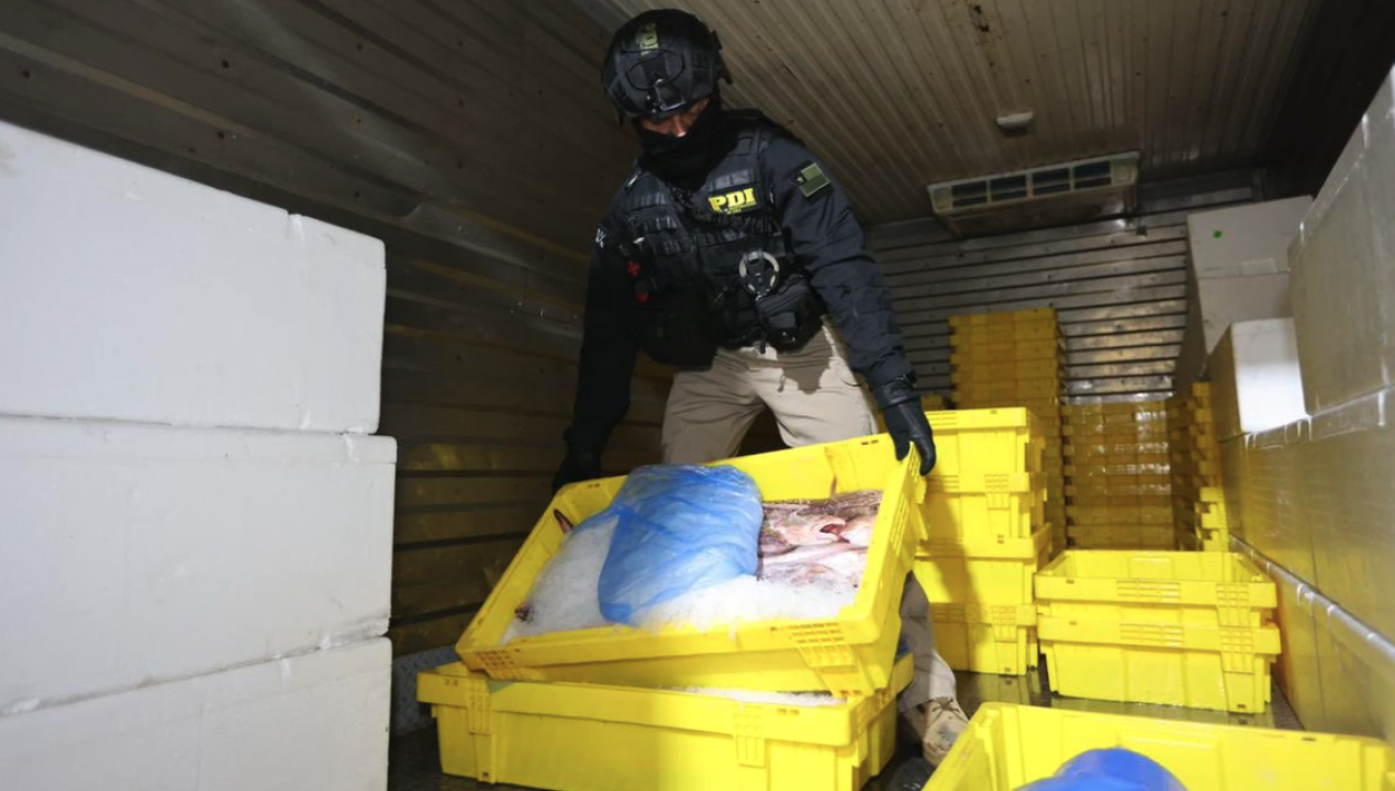 /local/exdirector-de-sernapesca-entre-los-detenidos-por-organizacion-criminal-que