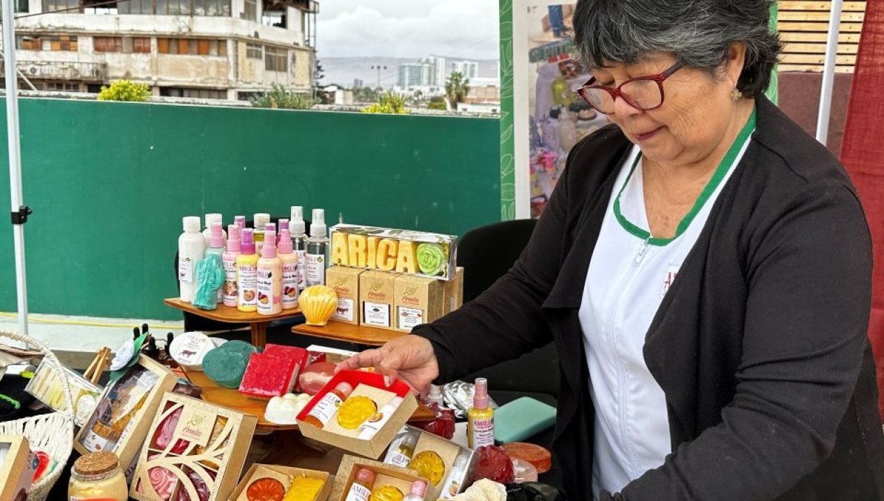 /encuesta-de-microemprendimiento-39-1-de-microemprendedores-en-arica-y