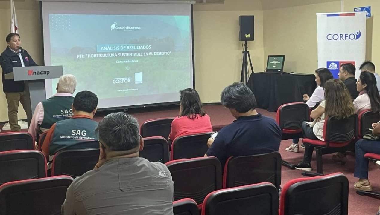 /arica-y-parinacota-validan-brechas-para-mejorar-la-competitividad-de-la