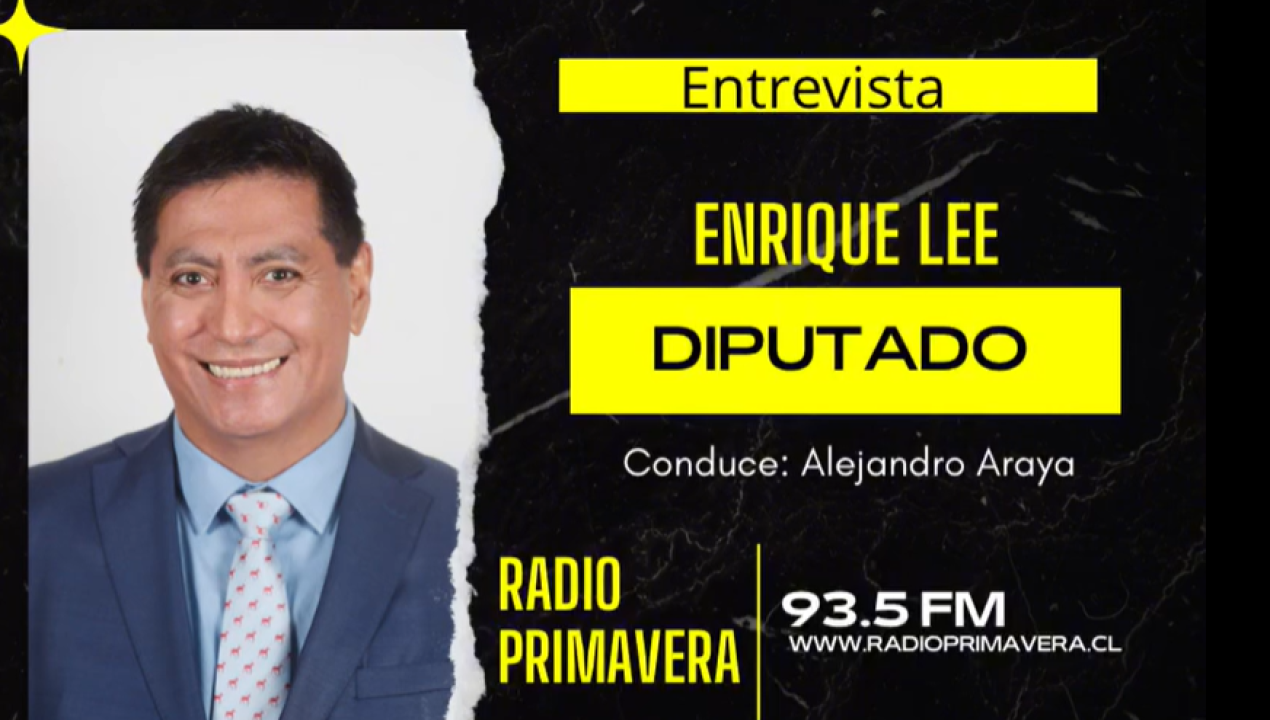 /diputado-lee-mi-voto-es-en-contra-en-esta-constitucion