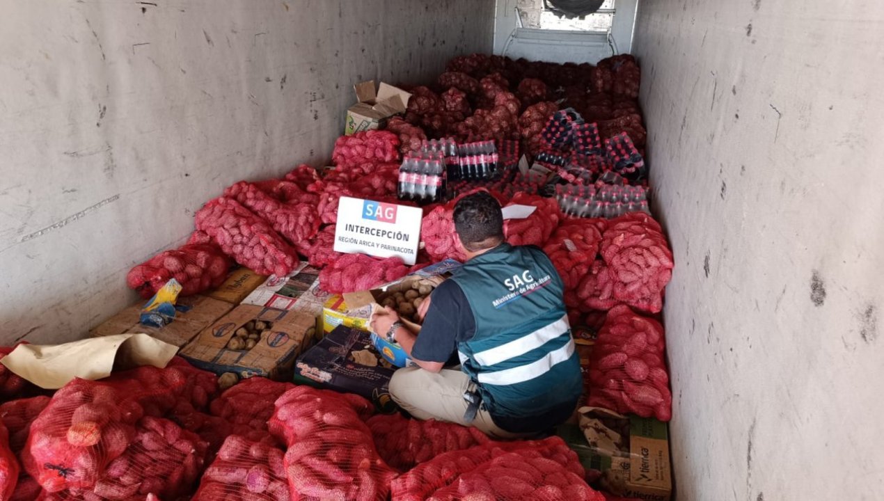 /sag-descubre-centro-de-acopio-clandestino-con-11-500-kilos-de-productos