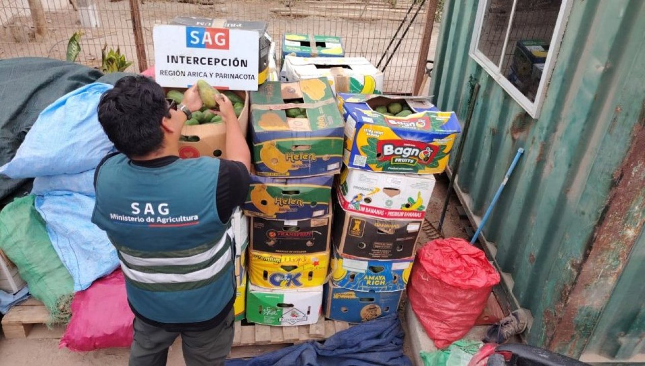 /denuncia-anonima-deja-al-descubierto-camara-frigorifica-con-1-350-kilos-de