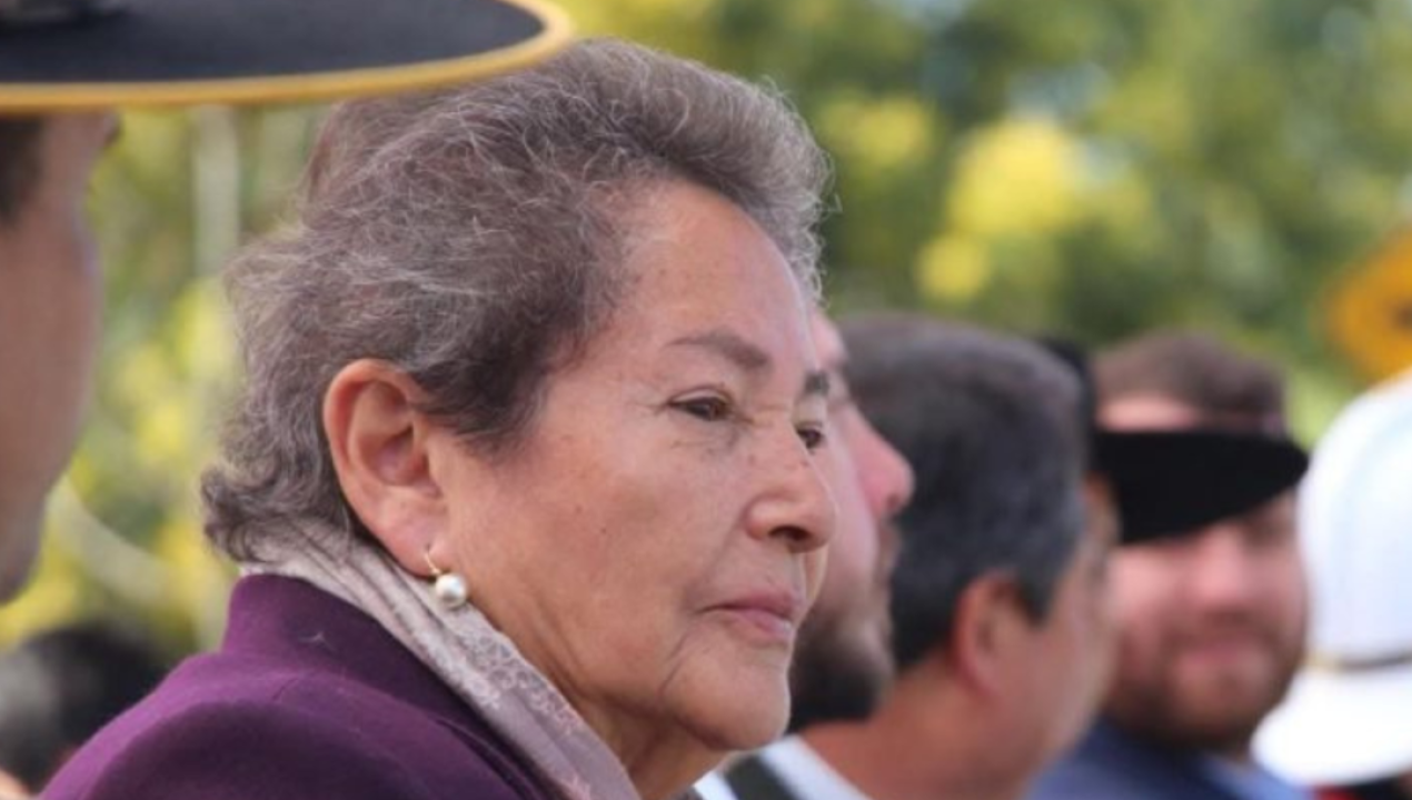/actualidad/un-cambio-en-el-caso-de-la-concejala-perdida-en-villa-alegre-les-devolvio