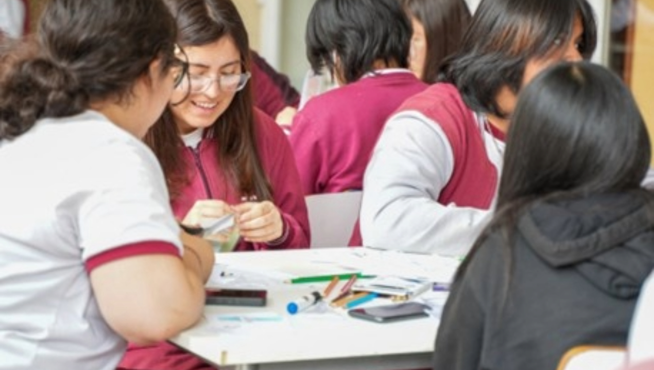 /facultad-de-educacion-de-la-ua-contribuye-a-la-generacion-de-estandares